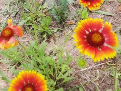 -野鸭湖国家湿地公园