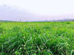 -光明小镇欢乐田园