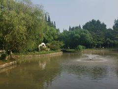-瀛洲公园