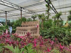 -南宫五洲植物乐园