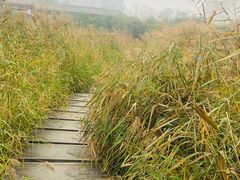 -西安汉城湖景区