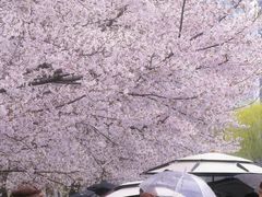 -西北湖绿化广场