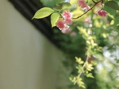 -南京民俗博物馆(甘熙故居)