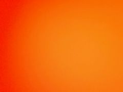 -河洛鱼庄(古城路店)