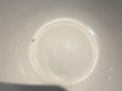 -豆蔻电影主题餐厅(四牌楼店)