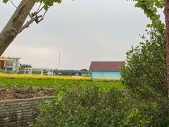 -百万葵园
