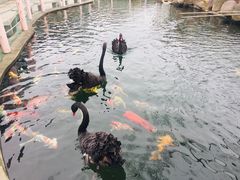 -湖鲜楼