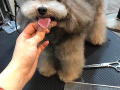 -PETKIT小佩宠物(古北店)