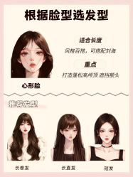 -蚂蚁造型俱乐部