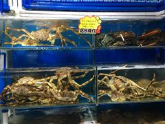-蚝专家(北滘店)