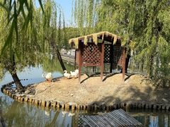 -杭州师范大学(下沙校区)