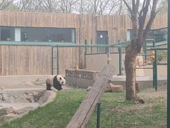 -天津市动物园