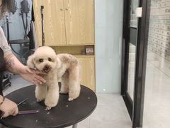 -中农大我爱我爱动物医院·核磁CT·猫病·24小时夜诊中心(石佛营店)