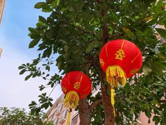 -东海岛旅游度假区