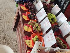 -马陆小张葡萄园农家乐