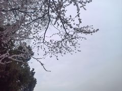 -颐和园