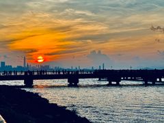 -深圳湾公园(南山区)