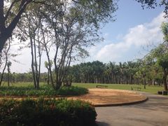 iphone_upload_pic-万绿园