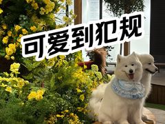 -瑞虹新天地月亮湾