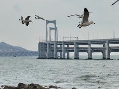 -黑石礁公园
