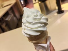 -麦当劳(新洲南路店)