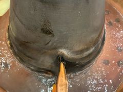 -常赢三兄弟·清真涮肉·清真炒菜(朝阳新城店)