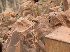 -昆明动物园