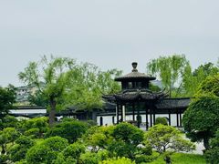 -扬州大运河文化旅游度假区·盆景园
