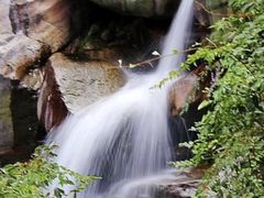 -庐山碧龙潭风景区