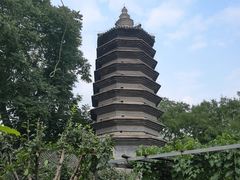 -正阳书局(西四南大街店)