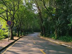 -南国桃园旅游度假区