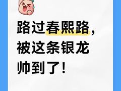 -小龙坎火锅(IFS HOT店)