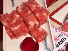 -小龙坎火锅(全球旗舰店)