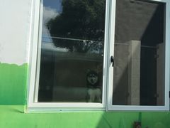 -汪说喵讲宠物乐园宠物酒店(红星美凯龙店)