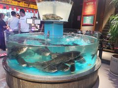 -魏铭鱼头捞饭(晋阳路店)