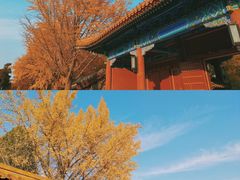 -故宫博物院(故宫)