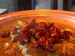 -柿合缘新京菜(国金中心商场店)