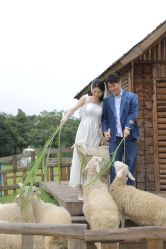 -金夫人婚纱摄影(华南店)