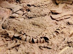 -世界恐龙谷景区