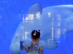 -泉城欧乐堡海洋极地世界