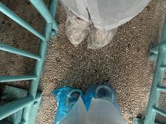 -成都欢乐谷