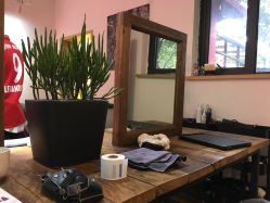 -HAIR PORN STUDIO