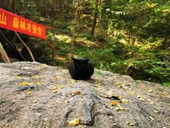 -封龙山风景区