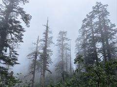 -瓦屋山景区
