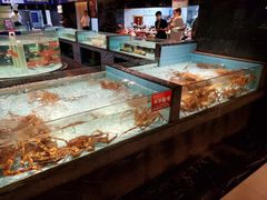 水产区-尚海豆捞(乐虹坊店)