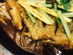 -老板恋上鱼(恒隆广场店)