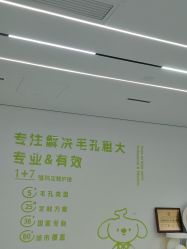 -凡碧诗毛孔清洁收细