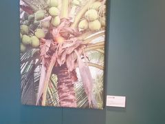 -烹然四季椰子鸡火锅(姚家园万象汇店)
