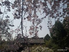 -西安青龙寺遗址景区