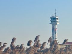 -上海吴淞炮台湾国家湿地公园